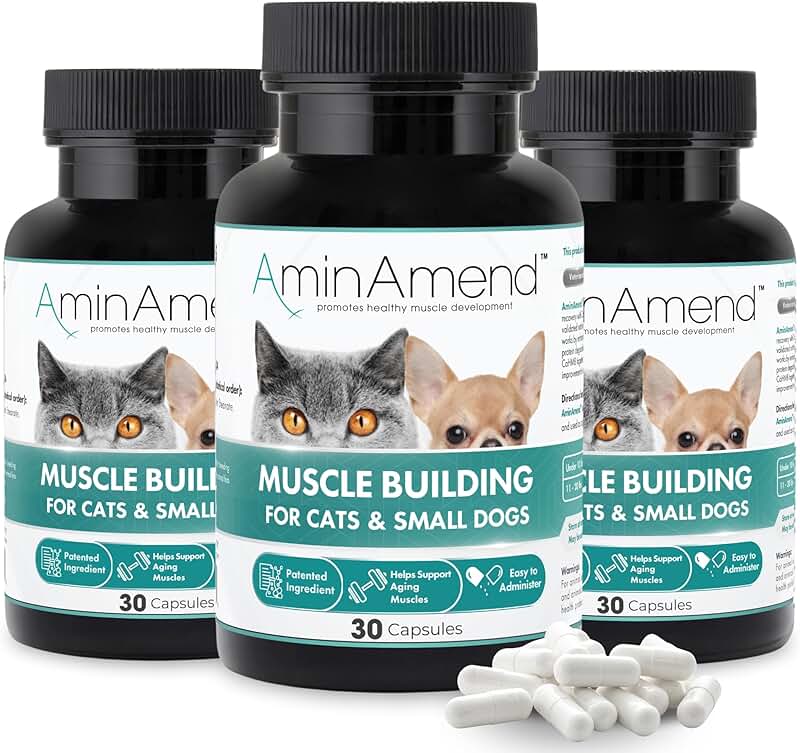 Muscle Support for Small Dogs & Cats, 30 Capsules