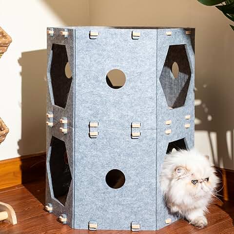 Two-Story Cat Cube for Indoor Cats and Small Dogs