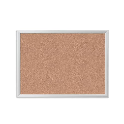 24x18 Inch Cork Bulletin Board with Silver Frame