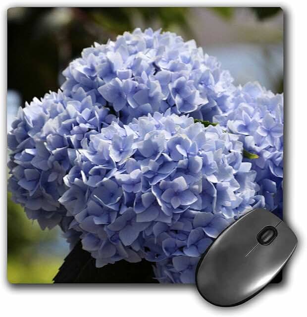 Pretty Blue Hydrangeas Floral Print Mouse Pad