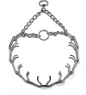 Chrome Plated Steel Prong Dog Training Collar 4mm x 25in