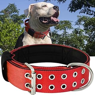 Heavy Duty 2-Inch Wide Dog Collar with Handle