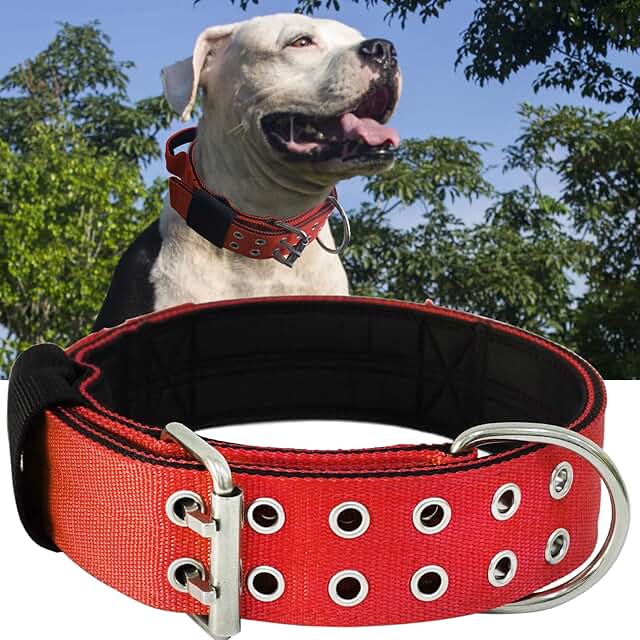 Heavy Duty 2-Inch Wide Dog Collar with Handle