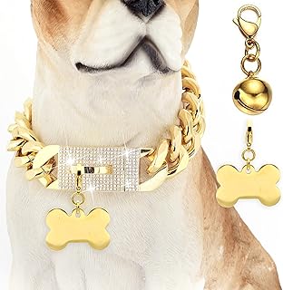 Gold Chain Dog Collar with Diamond Buckle and Bone Tag