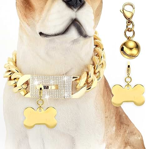 Gold Chain Dog Collar with Diamond Buckle and Bone Tag