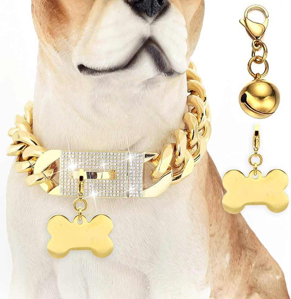 Gold Chain Dog Collar with Diamond Buckle and Bone Tag