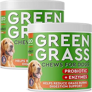 Green Lawn Chews for Dogs with Probiotics and Enzymes