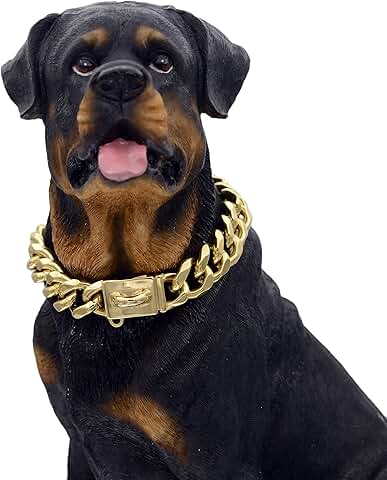18K Gold Dog Chain Collar with Secure Buckle