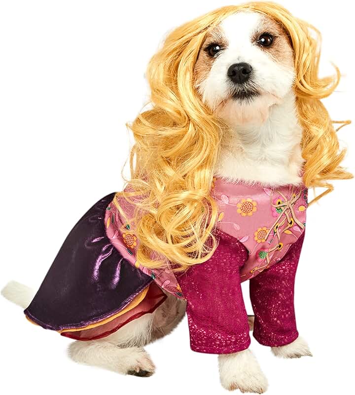 Sarah Sanderson Hocus Pocus Pet Costume for Dogs or Cats, Large