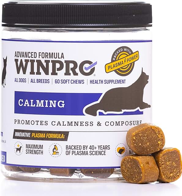 Calming Chews for Dogs to Reduce Anxiety and Stress