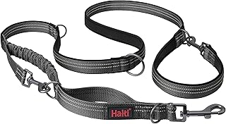 Multifunctional Shock Absorbing Dog Leash for Walking and Training