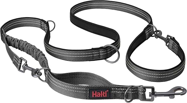 Multifunctional Shock Absorbing Dog Leash for Walking and Training