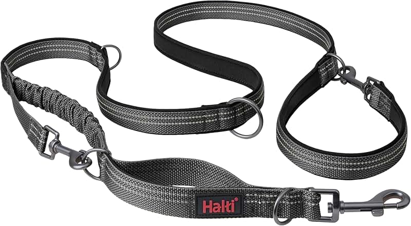 Multifunctional Shock Absorbing Dog Leash for Walking and Training