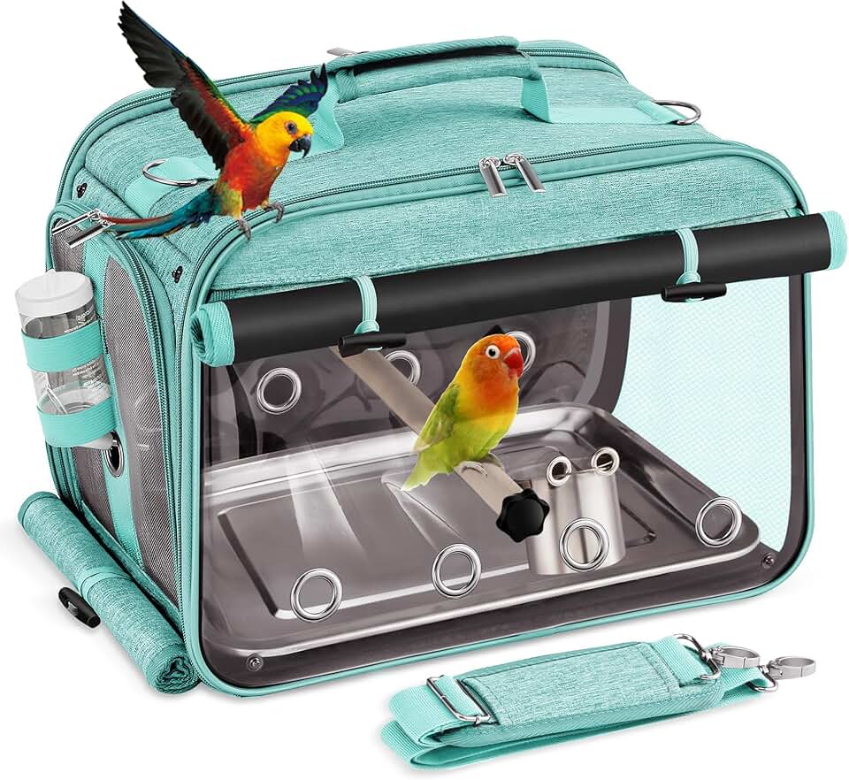 Bird Carrier with Stainless Steel Mesh and Water Bottle