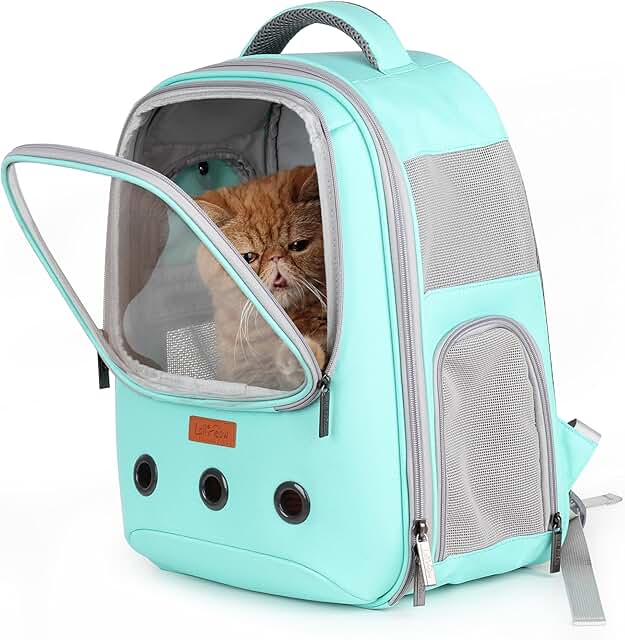 Pet Carrier Backpack for Cats and Puppies