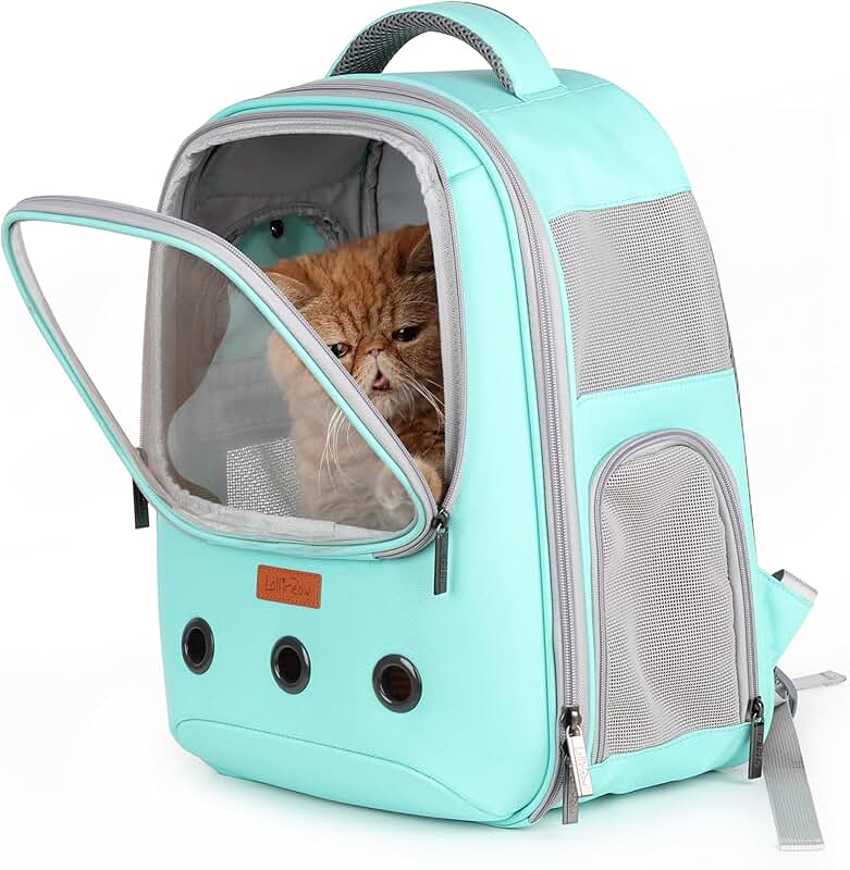 Pet Carrier Backpack for Cats and Puppies