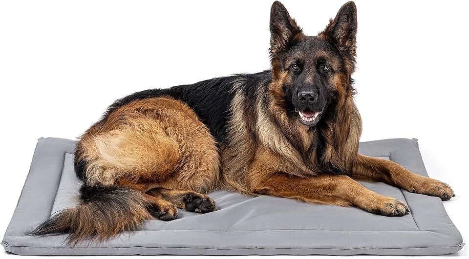 Durable Outdoor Dog Bed for Large Breeds