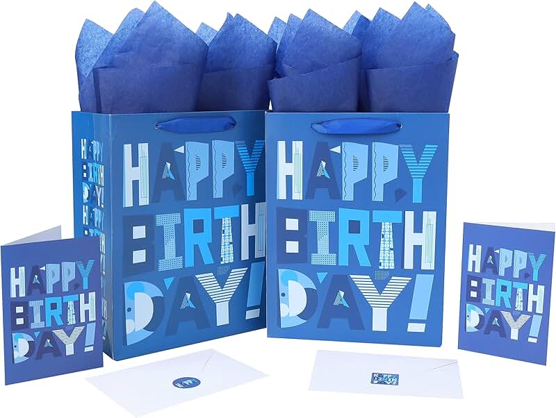 Set of 2 Blue Gift Bags with Card and Tissue
