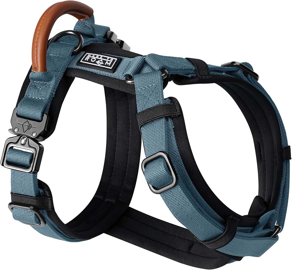 Premium Y-Shaped Dog Harness with Padding and Handle
