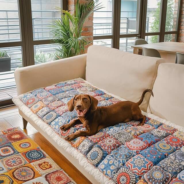 Funny Fuzzy Pet Couch Cover for Dogs, Washable, 27.6"×82.7"