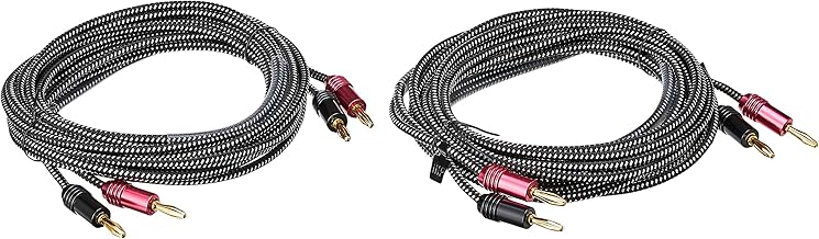 Premium 14AWG Braided Speaker Wire, 2 Pack, 10 Feet
