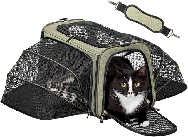 Expandable Soft Pet Carrier for Cats and Dogs