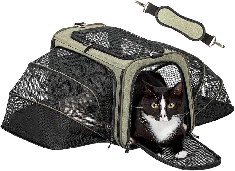 Expandable Soft Pet Carrier for Cats and Dogs