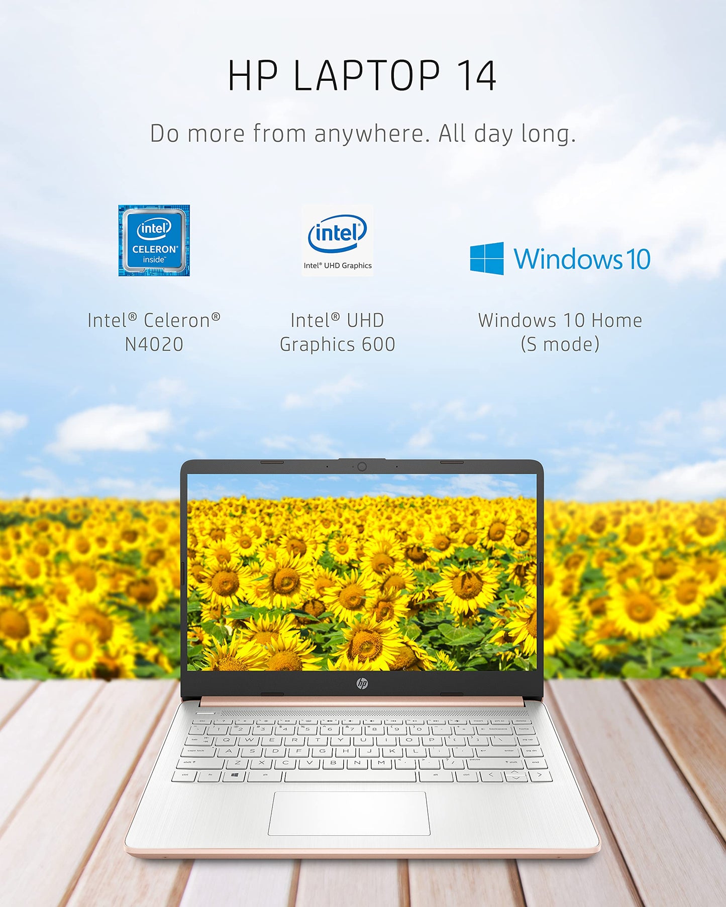 14 Laptop, Intel Celeron N4020, 4 GB RAM, 64 GB Storage, 14-inch Micro-Edge HD Display, Windows 10 Home, Thin & Portable, 4K Graphics, One Year of Microsoft 365 (14-dq0030nr, 2021, Pale Rose Gold)