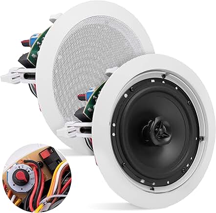 Ceiling Mount Speaker, 6.5", 500W, 2-Way, White