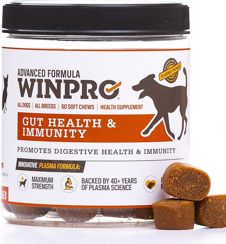 Dog Gut Health Supplements for Immune and Digestive Support
