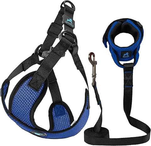 Comfort X Step-In Harness and Leash Set for Dogs