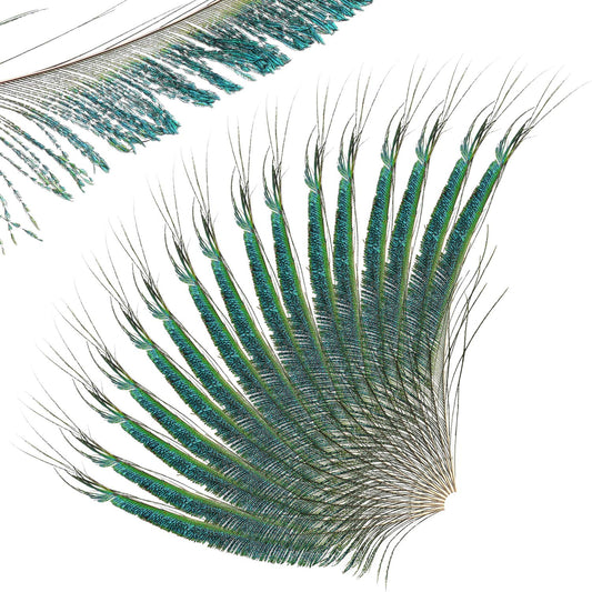 30pcs Natural Peacock Sword Feathers 25-35cm for DIY Decor