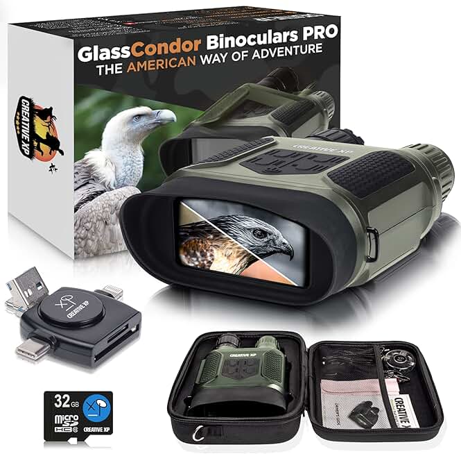 Pro Night Vision Binoculars with Infrared and 4" Screen