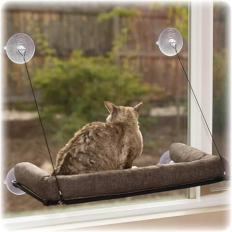 Sturdy Cat Window Perch for Large Cats