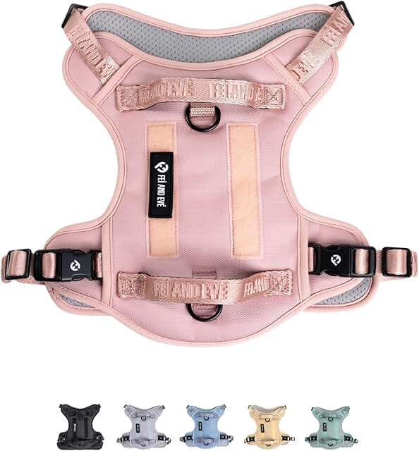 2025 New Edition Dog Harness with Quick-Release Buckles