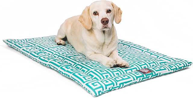 24-Inch Blue Dog Bed Mat