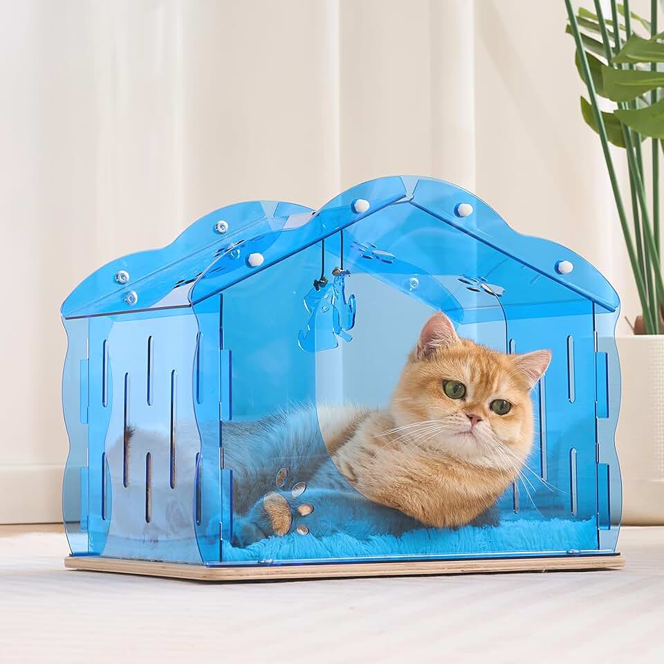 Modern Cat House with Plush Cushion and Toys