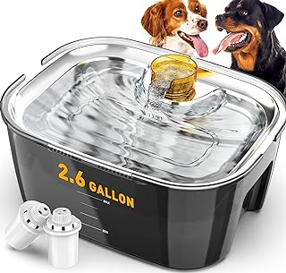 Large Stainless Steel Dog Water Fountain with 2.6 Gal Capacity