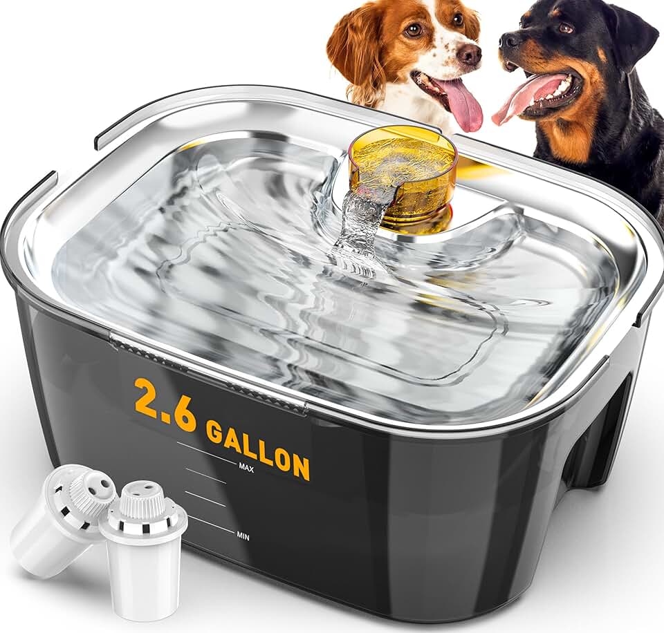 Large Stainless Steel Dog Water Fountain with 2.6 Gal Capacity