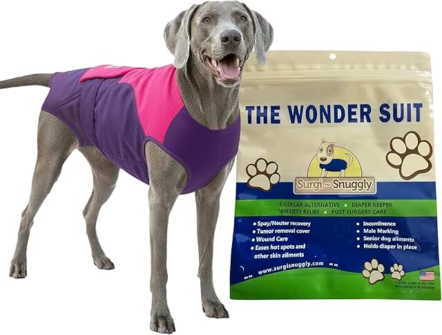 Disposable dog diapers for female and male dogs