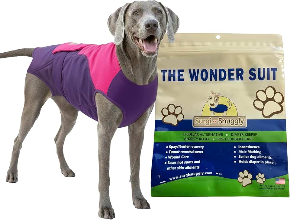 Disposable dog diapers for female and male dogs