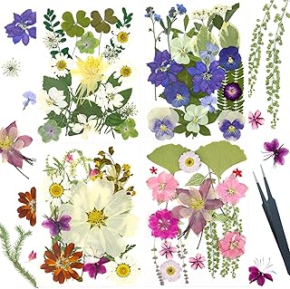 Bulk Dried Flowers for Crafts and Decoration