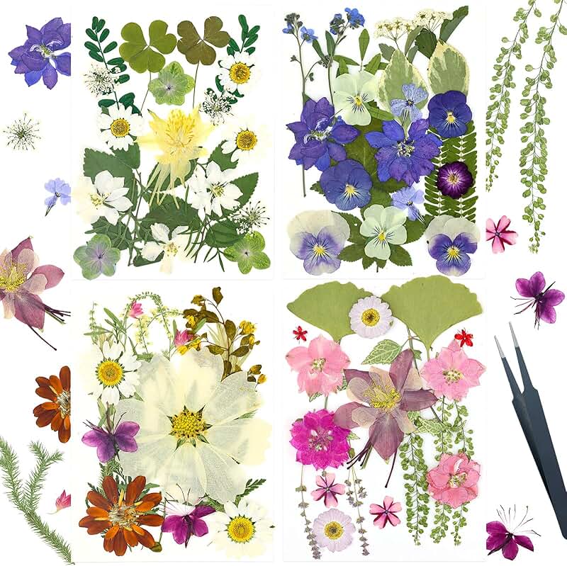Bulk Dried Flowers for Crafts and Decoration