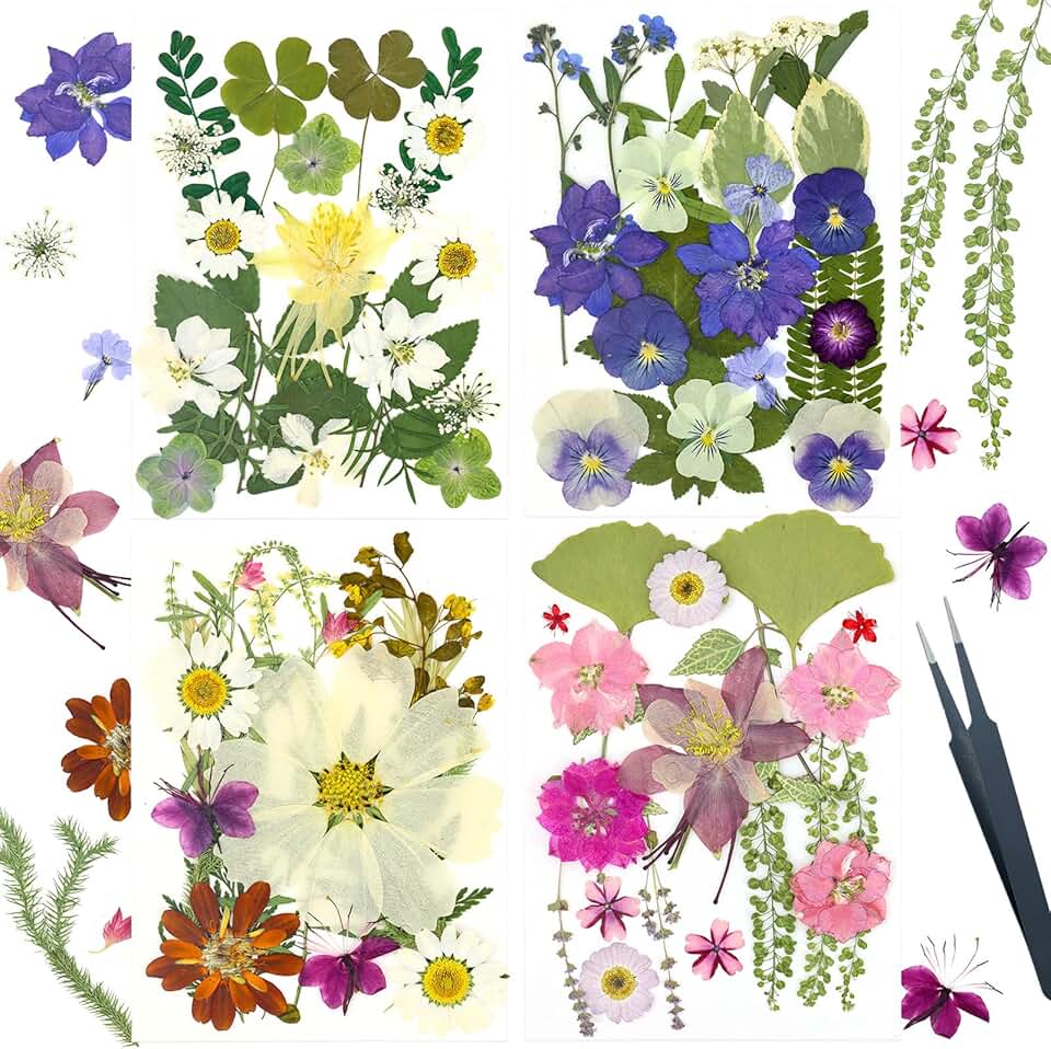 Bulk Dried Flowers for Crafts and Decoration