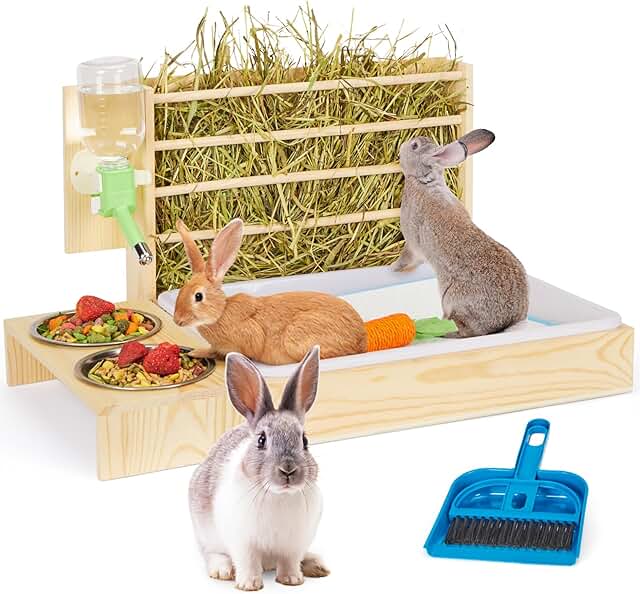 4-in-1 Small Animal Hay and Food Holder