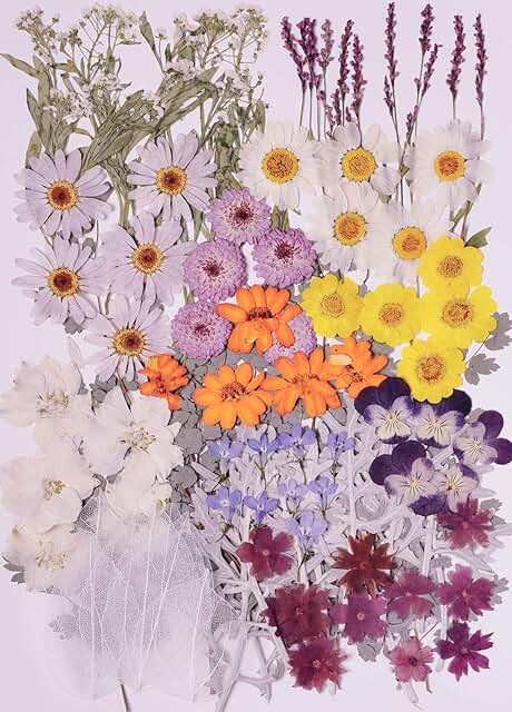 100 Pieces of Dried Pressed Flowers and Leaves in Purple