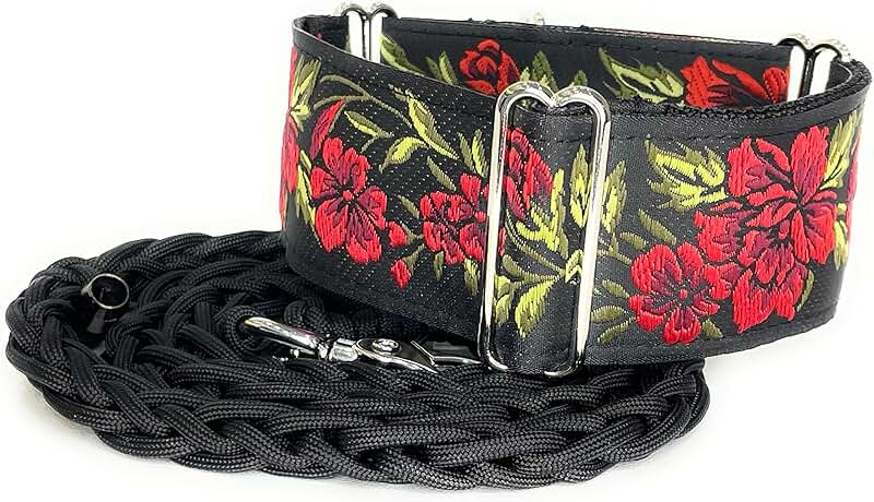 Martingale Dog Collar and Leash Set for Medium Breeds