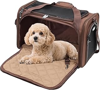 Deluxe Soft Pet Carrier with Expandable Mat