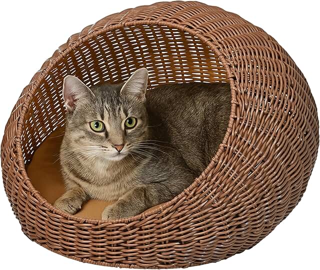 Modern Circular Faux Wicker Pet Bed with Washable Cushion