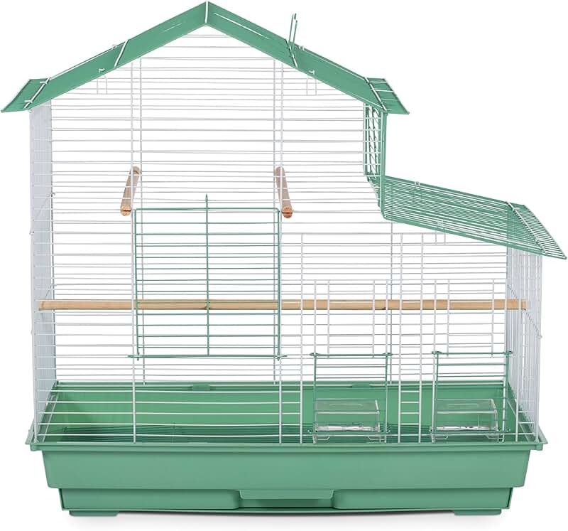 Small green house style bird cage